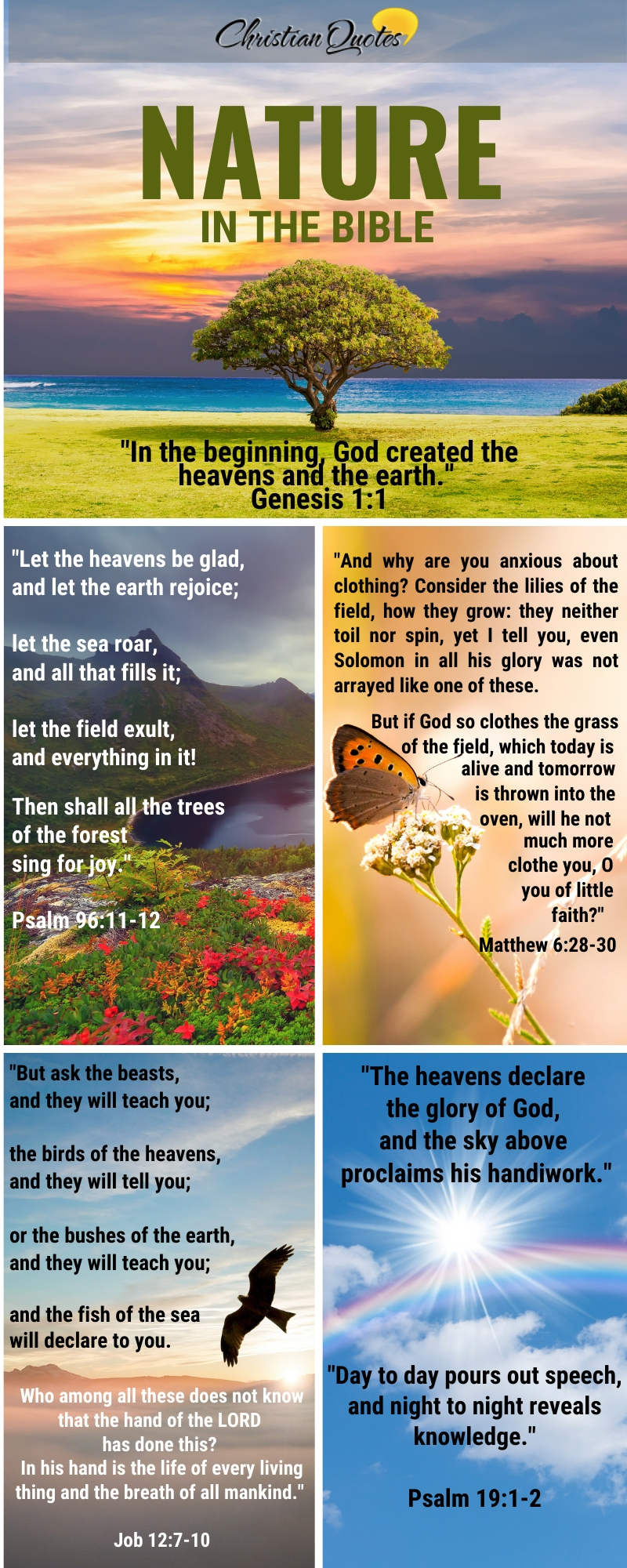 Top 16 Bible Verses About Nature